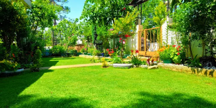 Costal Sahili ( Beach )