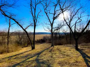 Tower Hill Trail