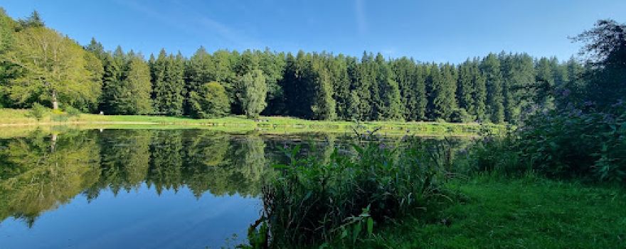 Reichenbachweiher