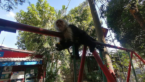 Reserva Natural Los Monos