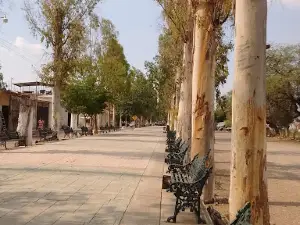 Paseo Alameda