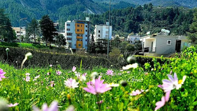 Pedonale, central park