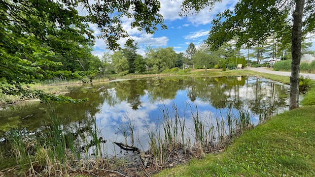 Wild Duck Adult Campground & RV Park