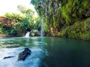 Chazal Ecotourism