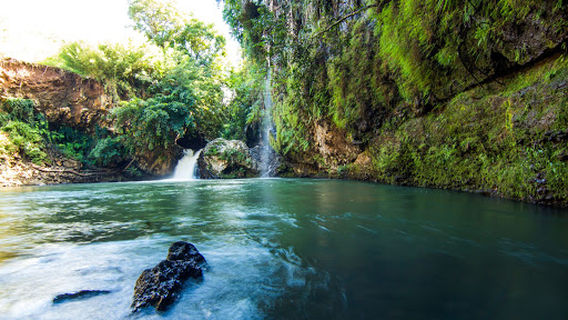 Chazal Ecotourism