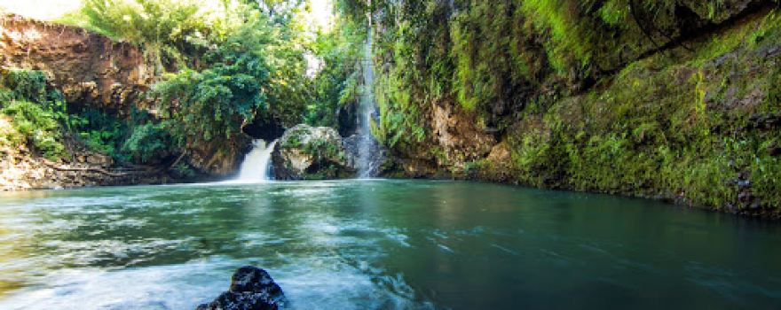Chazal Ecotourism