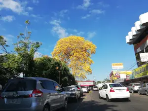 Manuel A. Guerrero Park