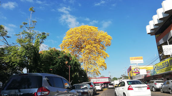 Manuel A. Guerrero Park