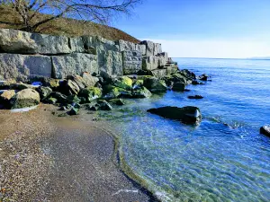 Rekreatsiynyy Kompleks "Tartus"