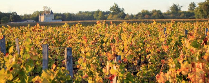 Chateau Belon