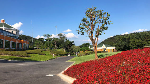 올데이 청주떼제베CC