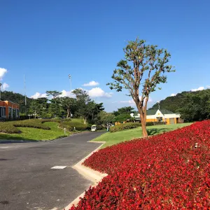 TGV Country Club