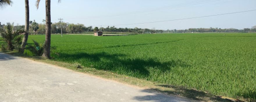 Monirampur Kali Bari