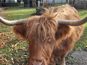 Stadt Grimmen Zoo
