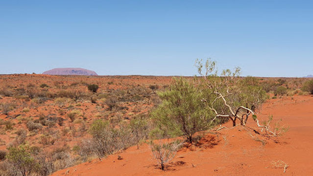Uluru Lookout