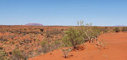 Uluru Lookout
