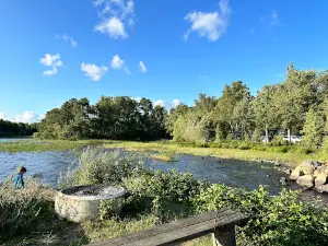 Mjölknabbens Camping