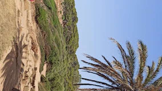Tipaza ville
