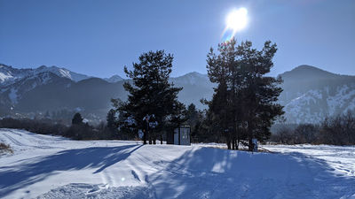 Ski-biathlon complex "Alatau"