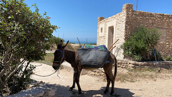 Paradis Aicha Sidi Kaouki