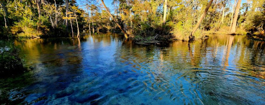 Econfina Creek Water Management Area