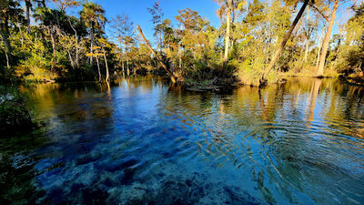 Econfina Creek Water Management Area
