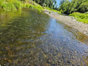 Stan Hedwall Park