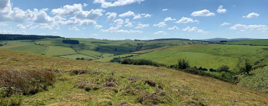 Rhos Fiddle Nature Reserve