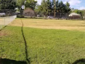 Silver City Dog Park