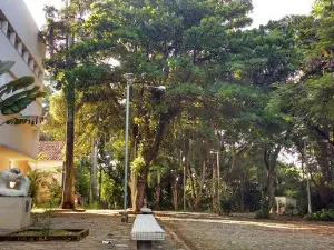 Colégio Cataguases