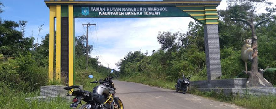 Gunung Mangkol