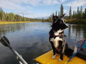 Copper River Guides