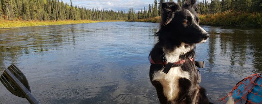 Copper River Guides