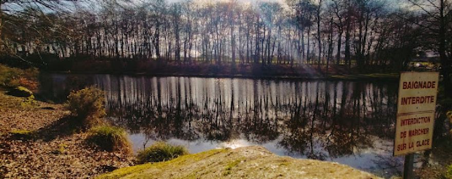 Etang de la Croix Madame