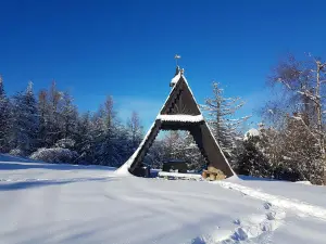 Wieża widokowa na Koziarzu