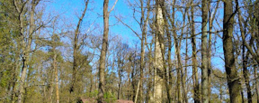 Lookout tower Lhotka near Beroun