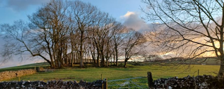Farditch Farm Caravan Park