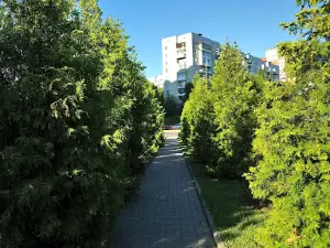 Pamyatnik Voinam-Internatsionalistam "Bol'"
