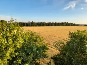Dobře ukrytá rozhledna Járy Cimrmana