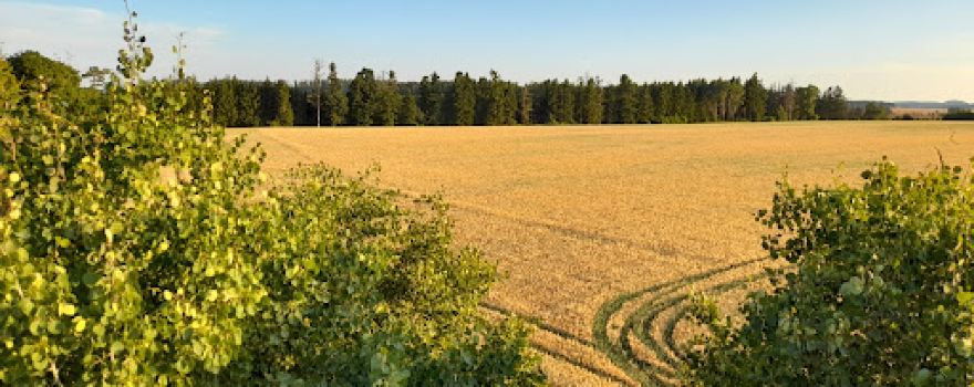 Dobře ukrytá rozhledna Járy Cimrmana