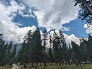 Yellow Pine Campground