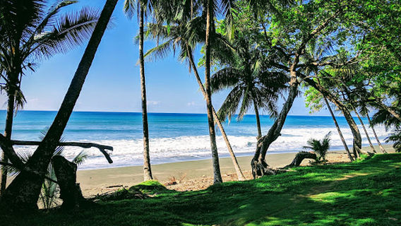 Osa Experience - Eco Travel Costa Rica