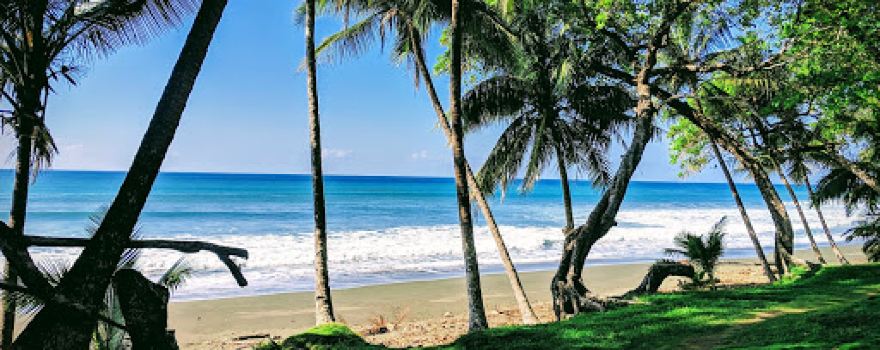 Osa Experience - Eco Travel Costa Rica
