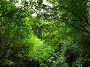 Aydinpinar Falls Nature Park
