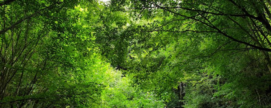 Aydinpinar Falls Nature Park