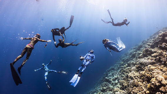 צלילה חופשית ישראל, אילת ~ freedive Israel