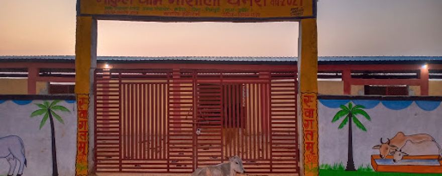 Gaushala chirula