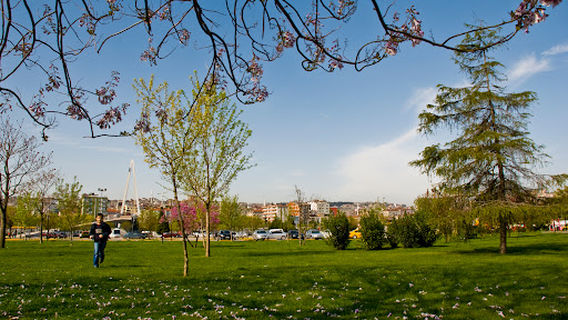 Samsun