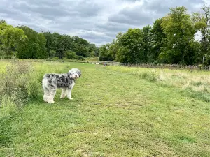 Mukwonago Dog Exercise Park