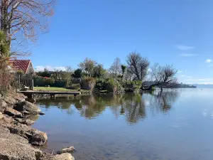Miaree Pool